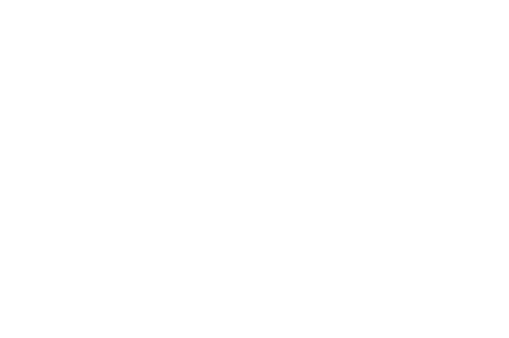WINNER 2021 - Paradise Film Festival - BESTE REGIE (1)