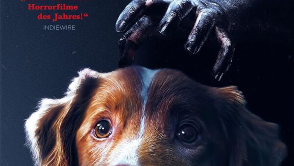 © DCM / LEONINE Distribution GmbH